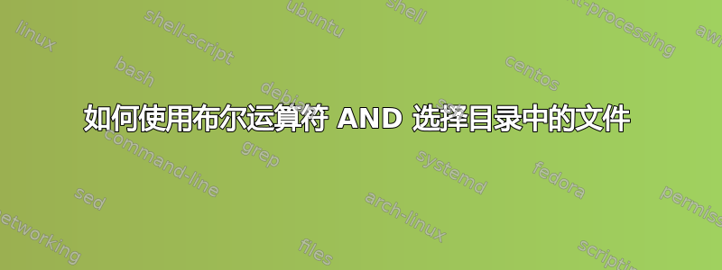 如何使用布尔运算符 AND 选择目录中的文件