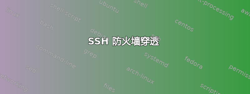 SSH 防火墙穿透