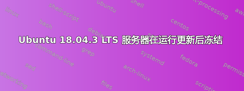 Ubuntu 18.04.3 LTS 服务器在运行更新后冻结