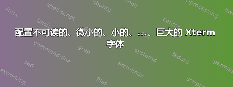 配置不可读的、微小的、小的、...、巨大的 Xterm 字体