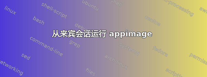 从来宾会话运行 appimage