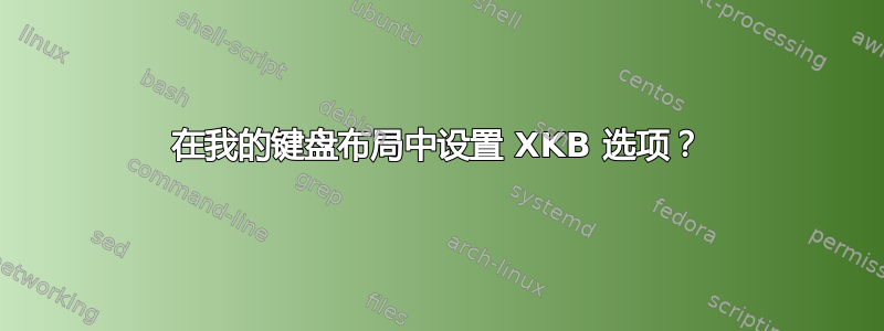 在我的键盘布局中设置 XKB 选项？