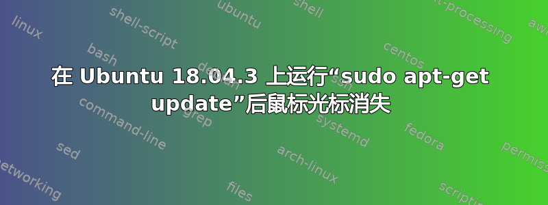 在 Ubuntu 18.04.3 上运行“sudo apt-get update”后鼠标光标消失