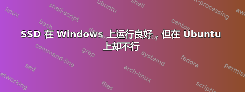 SSD 在 Windows 上运行良好，但在 Ubuntu 上却不行