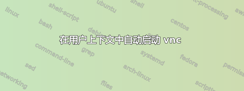 在用户上下文中自动启动 vnc