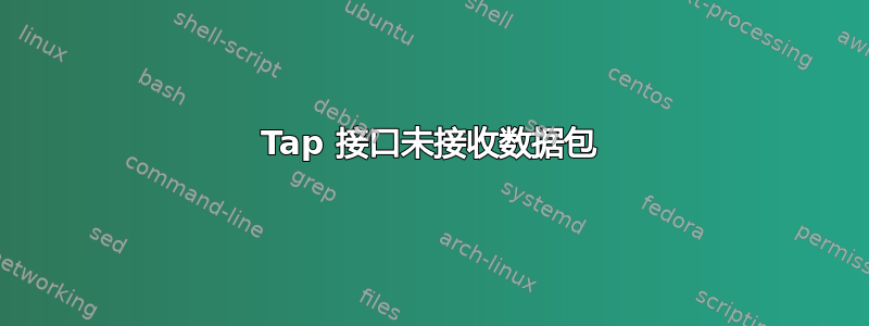 Tap 接口未接收数据包