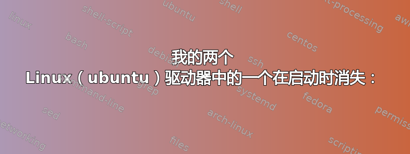 我的两个 Linux（ubuntu）驱动器中的一个在启动时消失：