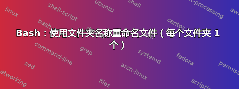 Bash：使用文件夹名称重命名文件（每个文件夹 1 个）