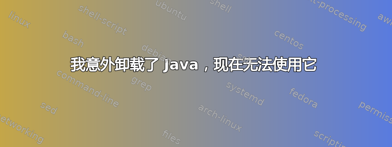 我意外卸载了 Java，现在无法使用它