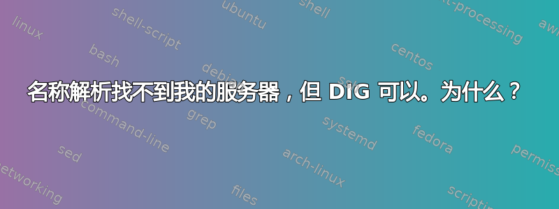 名称解析找不到我的服务器，但 DIG 可以。为什么？