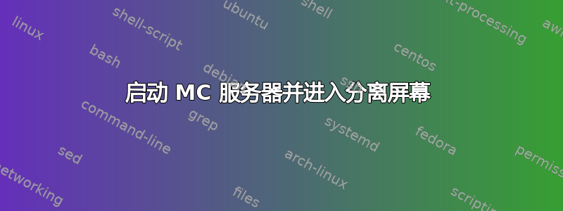 启动 MC 服务器并进入分离屏幕