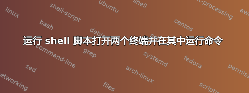 运行 shell 脚本打开两个终端并在其中运行命令