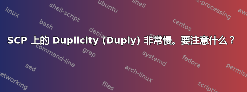 SCP 上的 Duplicity (Duply) 非常慢。要注意什么？