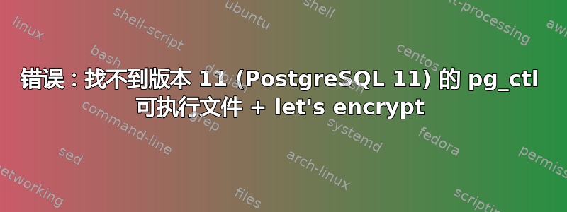 错误：找不到版本 11 (PostgreSQL 11) 的 pg_ctl 可执行文件 + let's encrypt