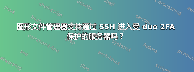 图形文件管理器支持通过 SSH 进入受 duo 2FA 保护的服务器吗？