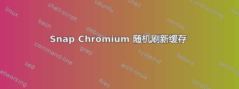 Snap Chromium 随机刷新缓存