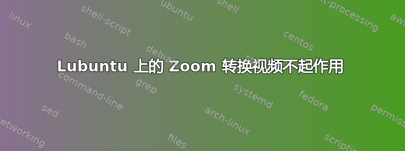 Lubuntu 上的 Zoom 转换视频不起作用