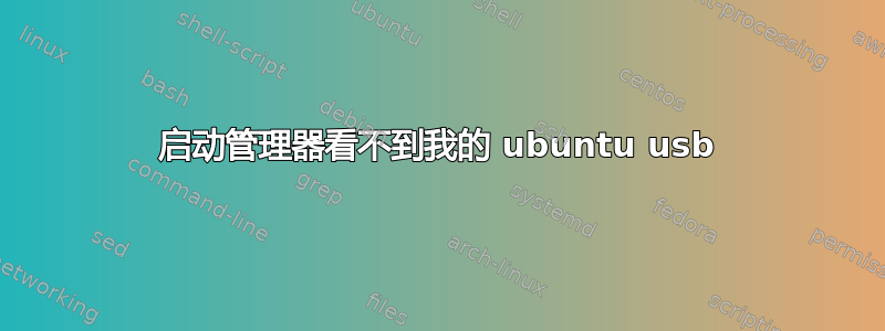 启动管理器看不到我的 ubuntu usb