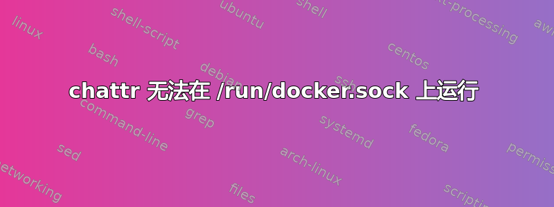 chattr 无法在 /run/docker.sock 上运行