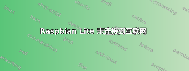 Raspbian Lite 未连接到互联网