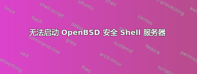 无法启动 OpenBSD 安全 Shell 服务器