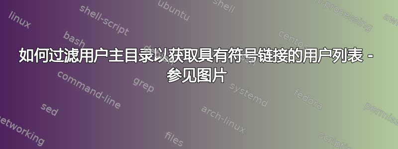 如何过滤用户主目录以获取具有符号链接的用户列表 - 参见图片