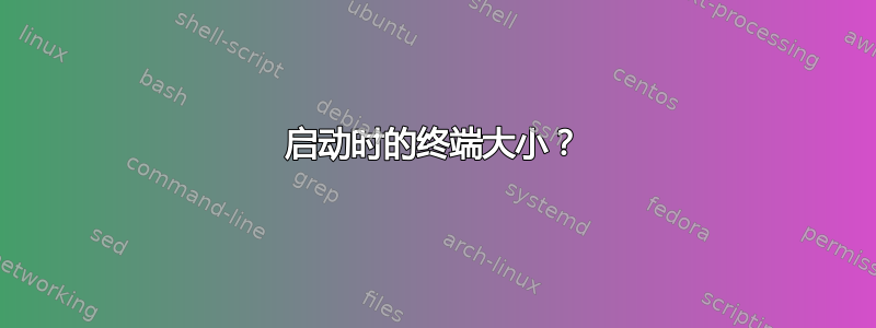 启动时的终端大小？