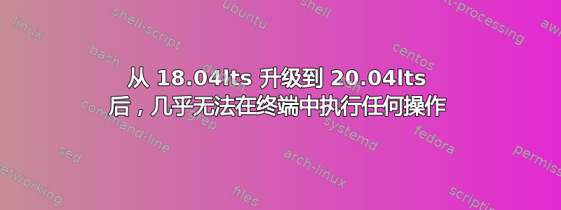 从 18.04lts 升级到 20.04lts 后，几乎无法在终端中执行任何操作