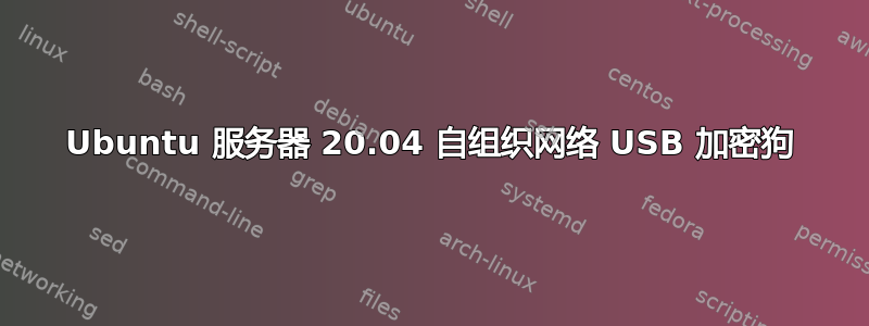 Ubuntu 服务器 20.04 自组织网络 USB 加密狗