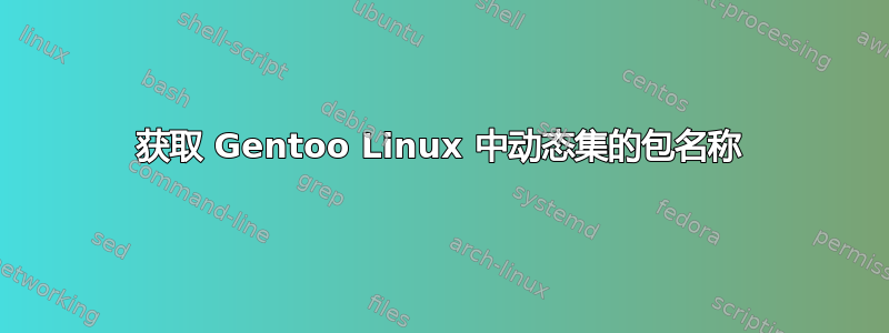 获取 Gentoo Linux 中动态集的包名称