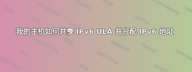 我的主机如何共享 IPv6 ULA 并分配 IPv6 地址