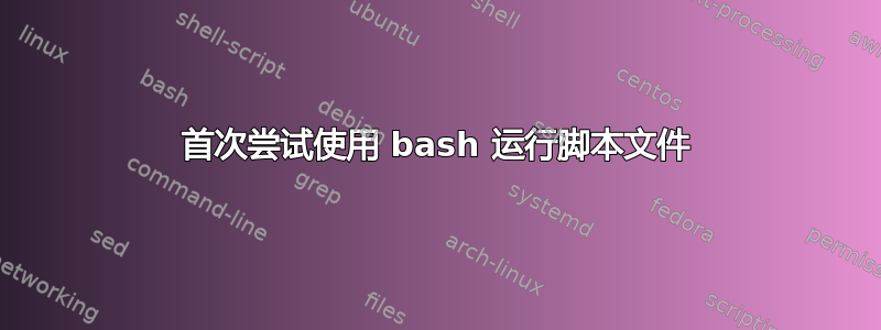 首次尝试使用 bash 运行脚本文件