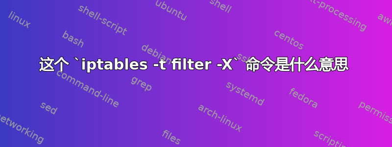 这个 `iptables -t filter -X` 命令是什么意思