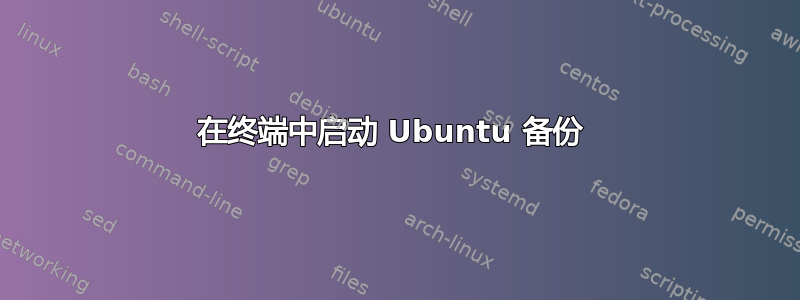 在终端中启动 Ubuntu 备份 