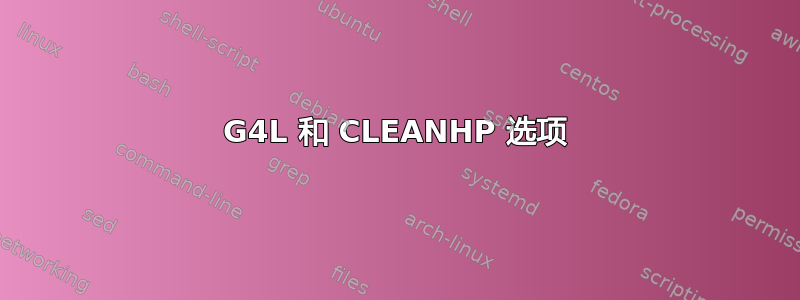 G4L 和 CLEANHP 选项