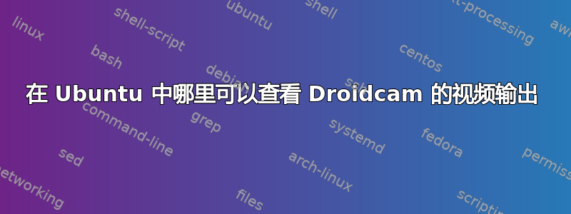 在 Ubuntu 中哪里可以查看 Droidcam 的视频输出