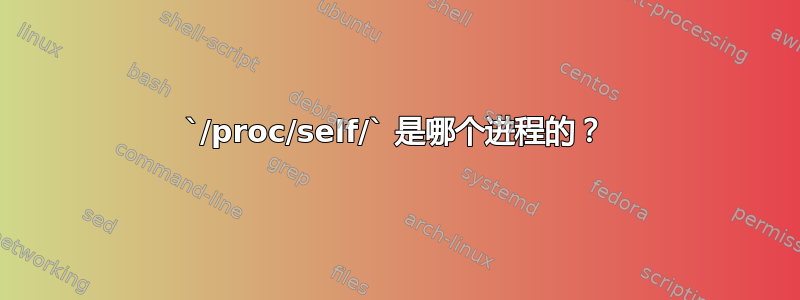 `/proc/self/` 是哪个进程的？