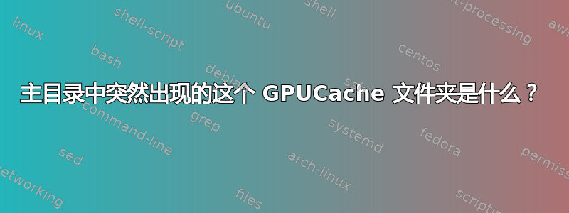 主目录中突然出现的这个 GPUCache 文件夹是什么？