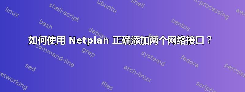 如何使用 Netplan 正确添加两个网络接口？