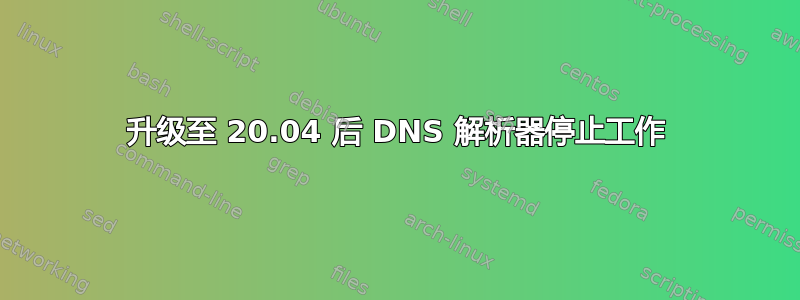 升级至 20.04 后 DNS 解析器停止工作