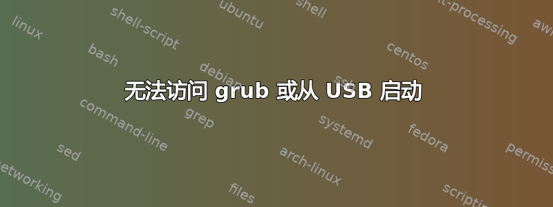 无法访问 grub 或从 USB 启动