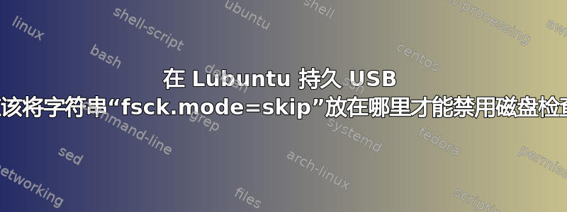 在 Lubuntu 持久 USB 上应该将字符串“fsck.mode=skip”放在哪里才能禁用磁盘检查？