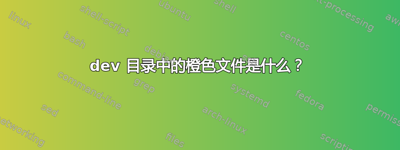 dev 目录中的橙色文件是什么？