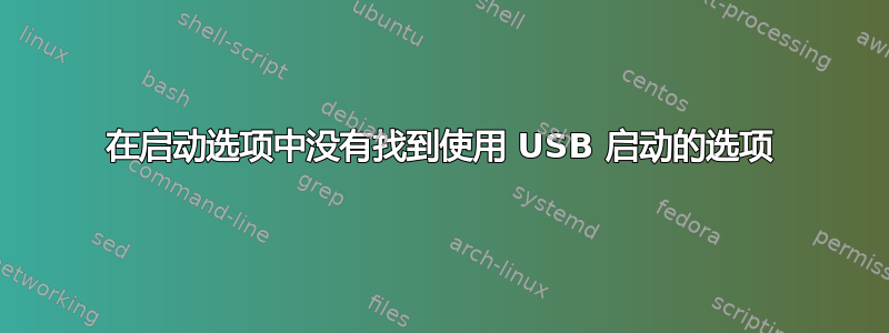 在启动选项中没有找到使用 USB 启动的选项