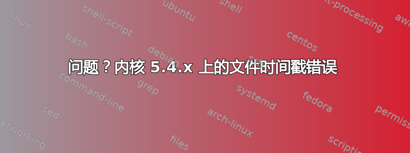 问题？内核 5.4.x 上的文件时间戳错误