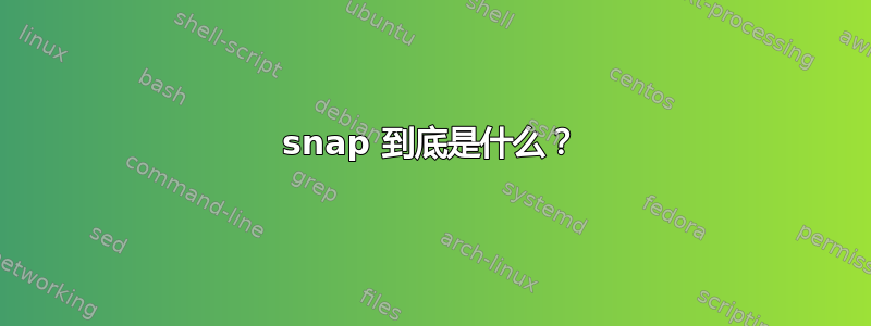 snap 到底是什么？