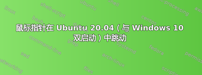 鼠标指针在 Ubuntu 20.04（与 Windows 10 双启动）中跳动