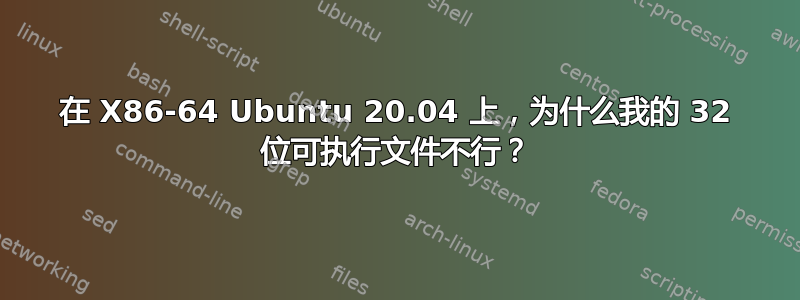 在 X86-64 Ubuntu 20.04 上，为什么我的 32 位可执行文件不行？