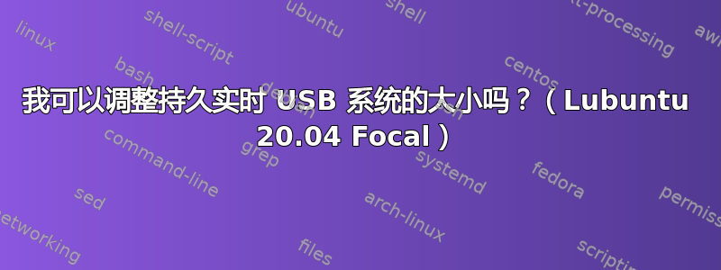 我可以调整持久实时 USB 系统的大小吗？（Lubuntu 20.04 Focal）