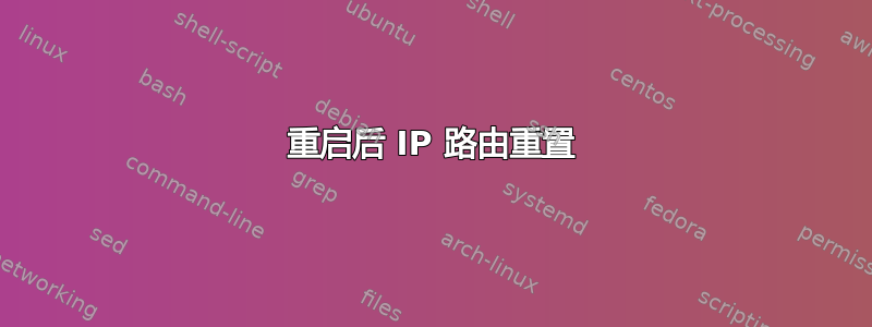 重启后 IP 路由重置